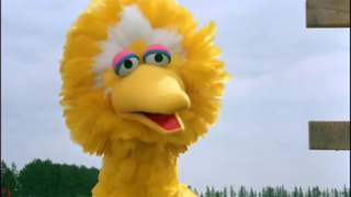 BIG BIRD (Sesame Street Presents: Follow That Bird)