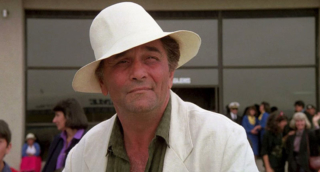 PETER FALK (Vibes)